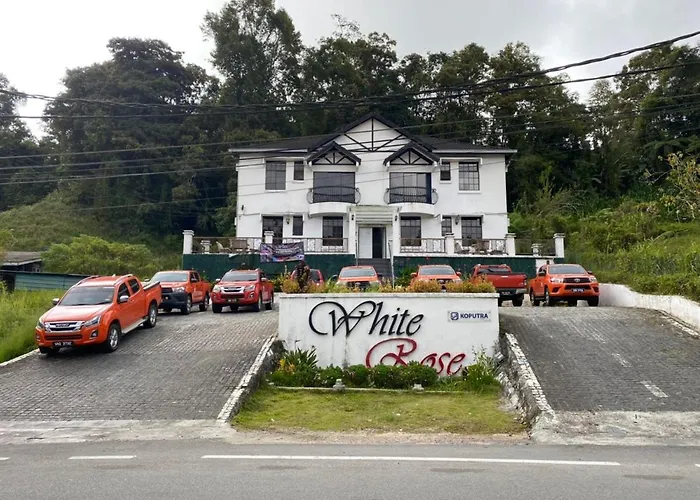 White Rose Cameron Highlands