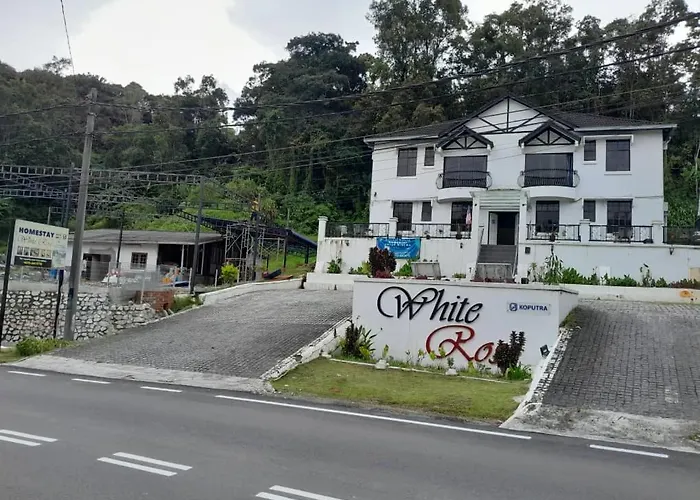 White Rose Cameron Highlands
