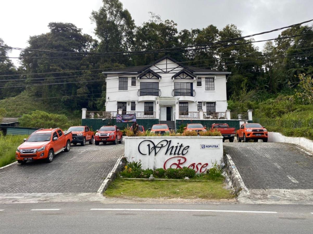 White Rose Cameron Highlands Apartment *